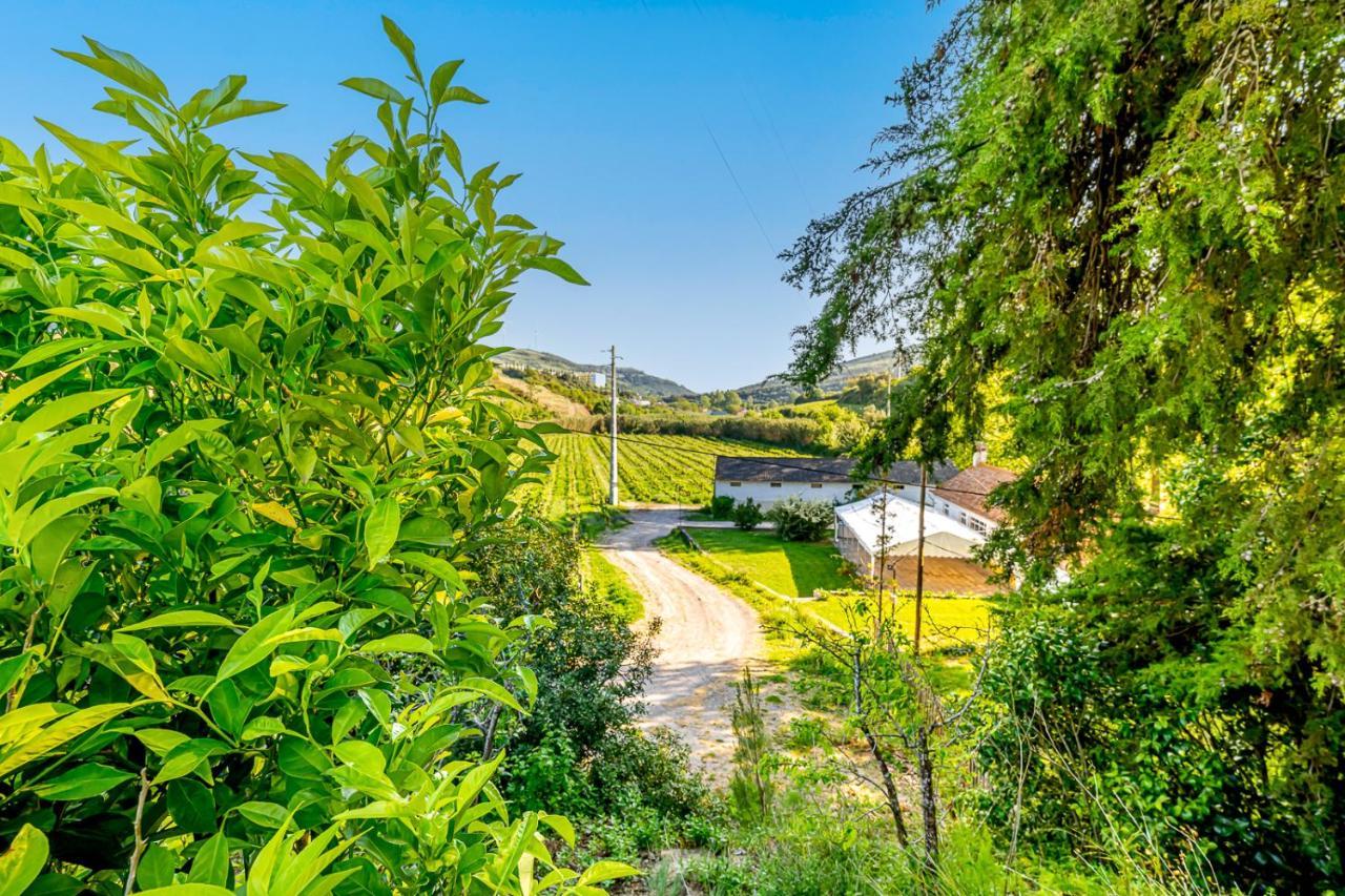 Quinta Do Boicao Villa Lisboa Kültér fotó