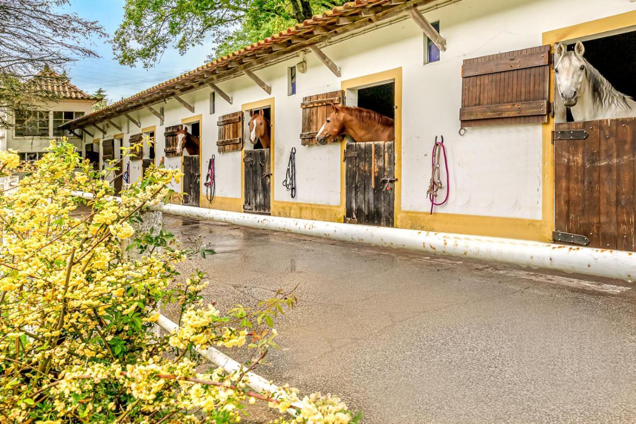 Quinta Do Boicao Villa Lisboa Kültér fotó
